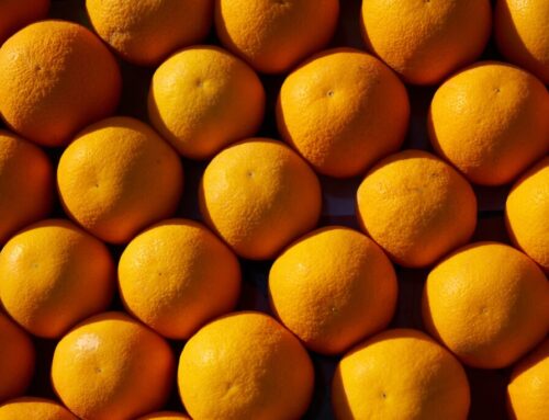 Se prevé que Brasil cosechará 15,42 millones de toneladas de naranja en 2023/24
